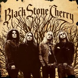 Album cover of Black Stone Cherry (Special Edition)