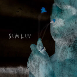 Album cover of SUM LUV