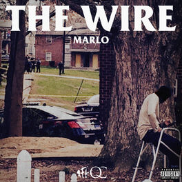 Album cover of The Wire