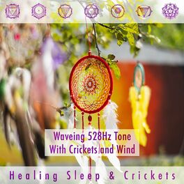 Album cover of Waveing 528hz Tone with Crickets and Wind