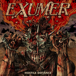 Album cover of Hostile Defiance