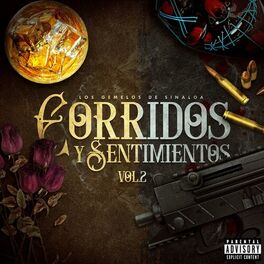 Album cover of Corridos y Sentimientos (Vol 2)