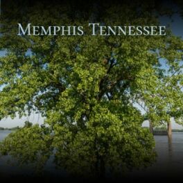 Album cover of Memphis Tennessee