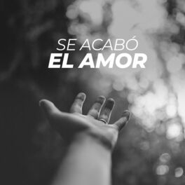 Album cover of Se acabó el amor