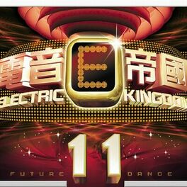 Album cover of Electric Kingdom 11Ⅰ