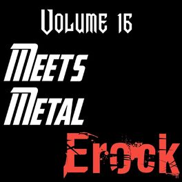 Album cover of Meets Metal Vol. 16