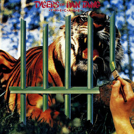 Album cover of The Cage