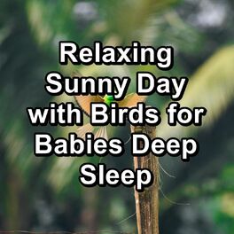 Album cover of Relaxing Sunny Day with Birds for Babies Deep Sleep