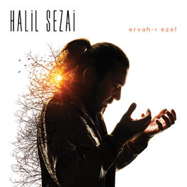 Album cover of Ervah-ı Ezel