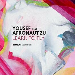 Album cover of Learn To Fly