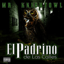 Album cover of El Padrino de las Calles