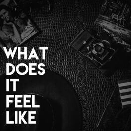 Album cover of What Does It Feel Like