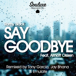 Album cover of Say Goodbye (feat. Arrnott Olssen)