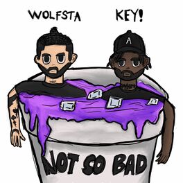 Album cover of Not So Bad