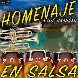 Album cover of Homenaje A Los Grandes En Salsa (Vol.3)