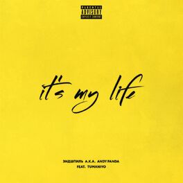 Album cover of It's My Life