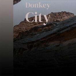 Album cover of Donkey City