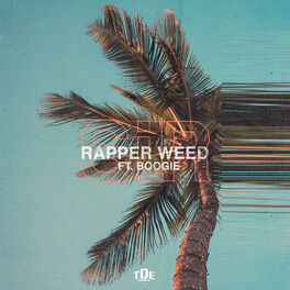 Album cover of Rapper Weed