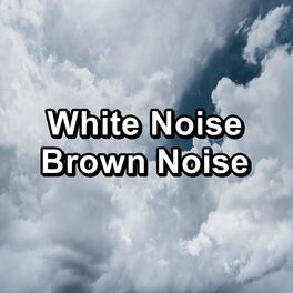 Album cover of White Noise Brown Noise