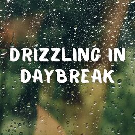 Album cover of Drizzling in Daybreak