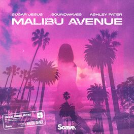 Album cover of Malibu Avenue