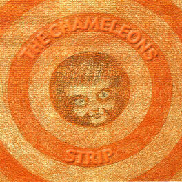 Album cover of Strip