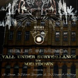 Album cover of Y'All Under Surveillance / Meltdown