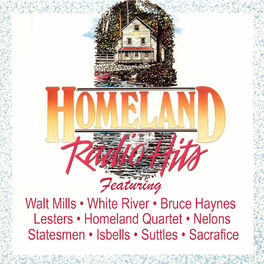 Album cover of Homeland Radio Hits Vol 2