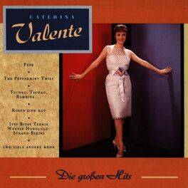Album cover of Die grossen Hits