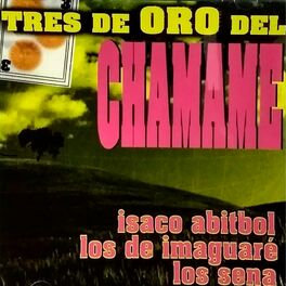 Album cover of 3 De Oro Del Chamamé