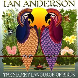 Album cover of The Secret Language Of Birds