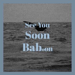Album cover of See You Soon Baboon