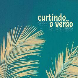 Album cover of Curtindo o Verao