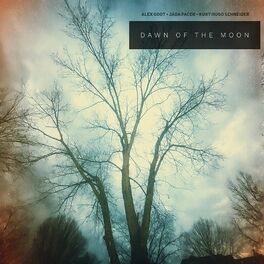 Album cover of Dawn of the Moon