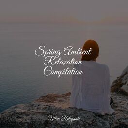Album cover of Spring Ambient Relaxation Compilation