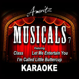 Album cover of Karaoke - Musicals Vol. 7