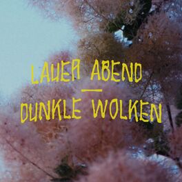 Album cover of Lauer Abend / Dunkle Wolken