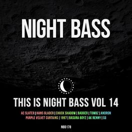 Album cover of This Is Night Bass: Vol. 14