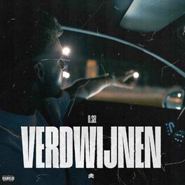 Album cover of Verdwijnen