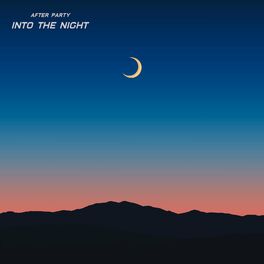 Album cover of Into The Night (Radio Edit)