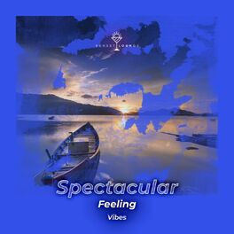 Album cover of zZz Spectacular Feeling Vibes zZz