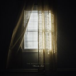 Album cover of What the Fuck
