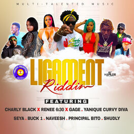 Album cover of Ligament Riddim