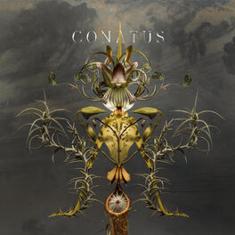 Album cover of Conatus