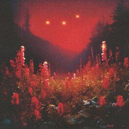 Album cover of SUPERBLOOM