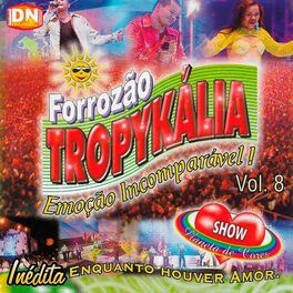 Album cover of Emoção Incomparável, Vol. 8
