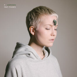 Album cover of Kärpänen