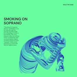 Album cover of Smoking On Soprano (S.O.S.)
