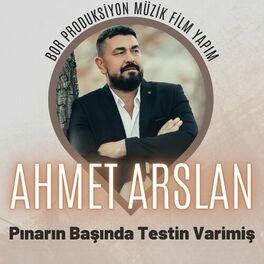 Album cover of Pınarın Başında Testin Varimiş