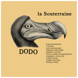 Album cover of Dodo